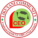 LCEO Logo